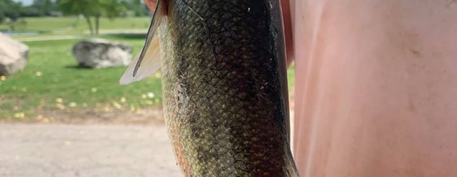8 Pound Catfish Caught 5-5-2020